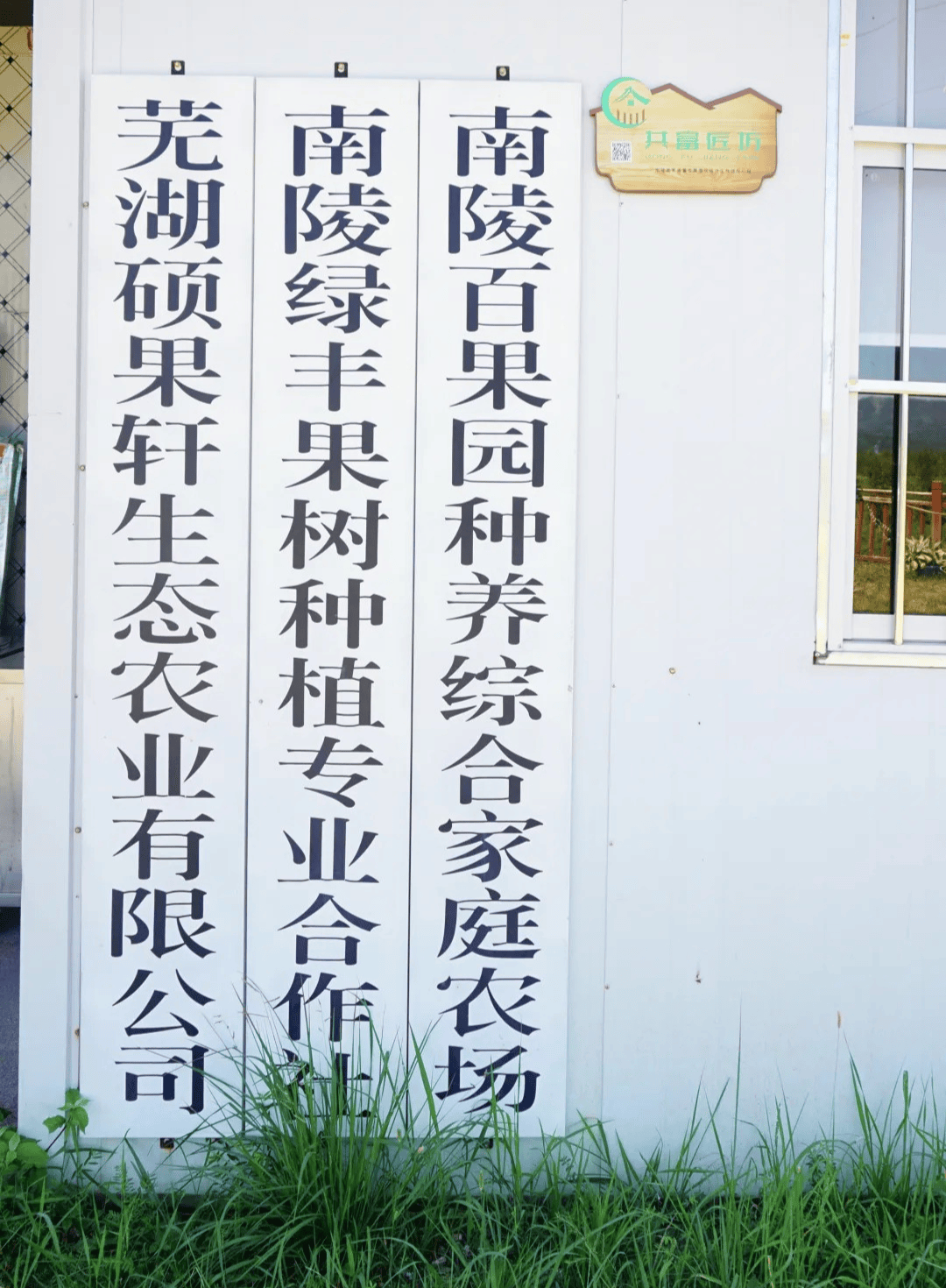 村里新来的年轻人⑤｜许开云体育官网汉英：29年从家乡来回家乡去(图4)
