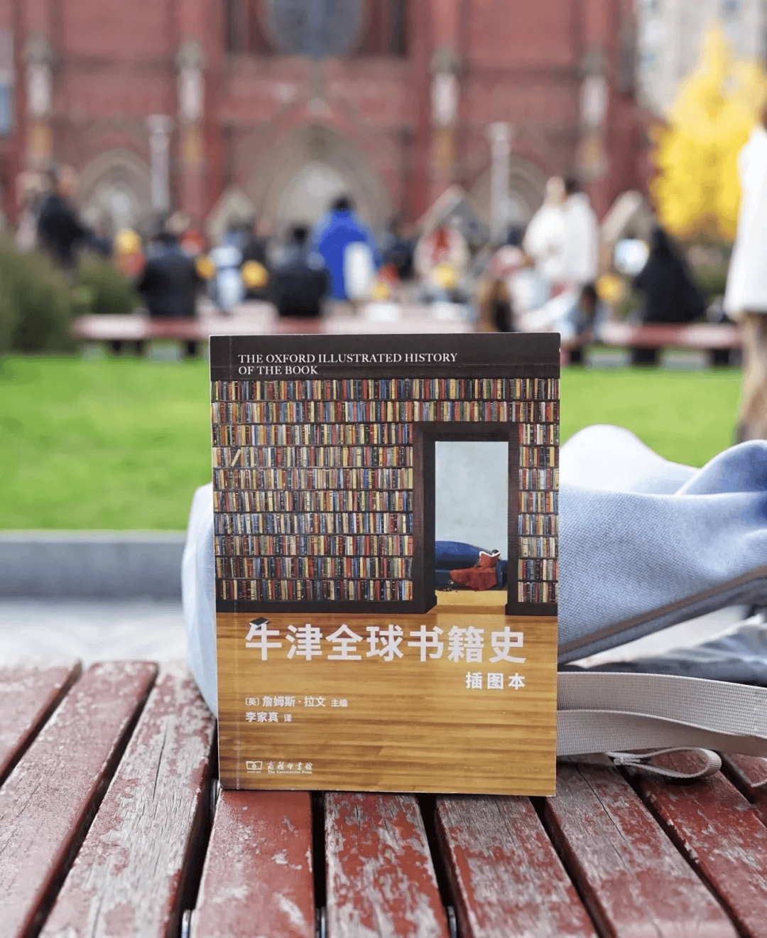牛津插圖本—書的歷史/牛津插图本—书的历史 詹姆斯‧拉文 博客來-牛津插圖本書的歷史