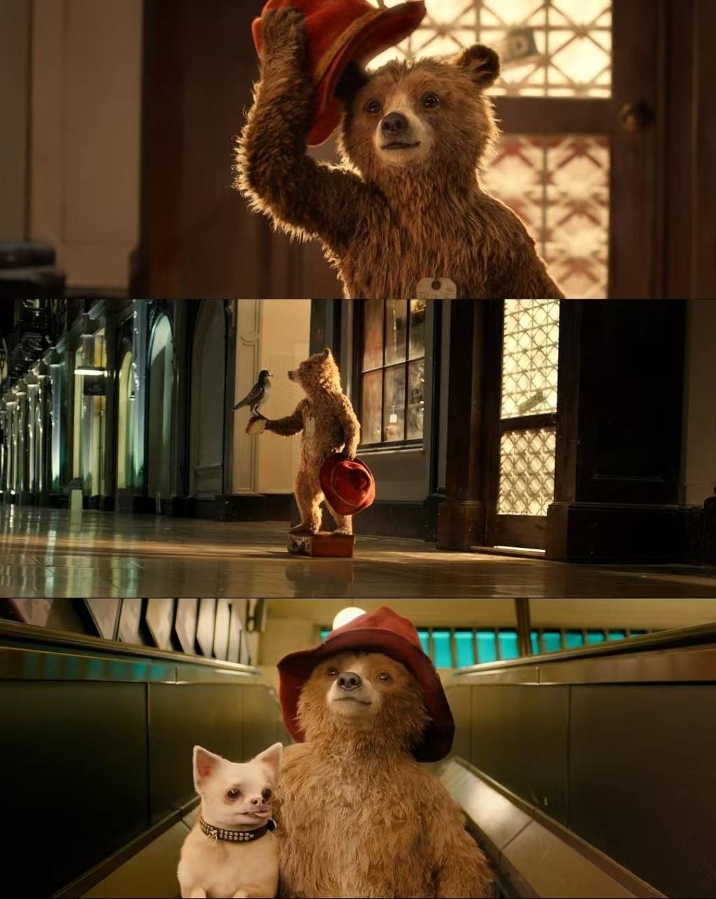 剧照现在,随着童书和影视剧的热播,帕丁顿熊已成为