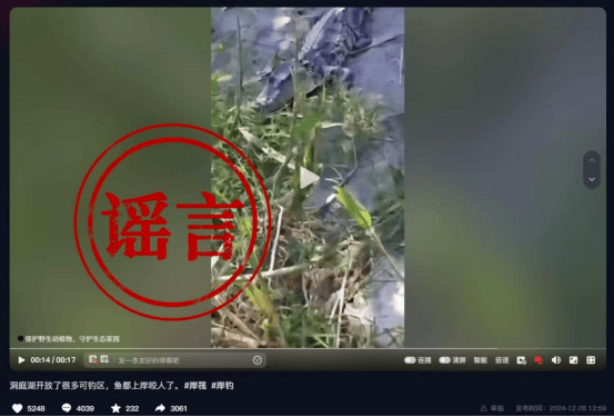 湖南岳阳回应“洞庭湖可钓区发现鳄鱼”：系2024年6月发生于武汉长江段