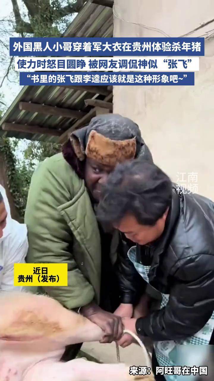 外国黑人小哥穿着军大衣在贵州体验杀年猪,使力时怒目圆睁 被网友调侃