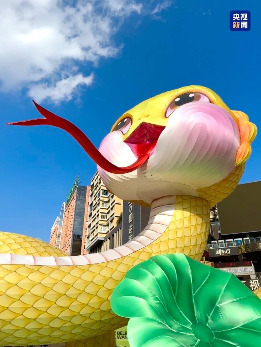 各地萌蛇出没网友你永远可以相信南京的审美