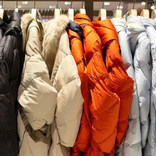 为什么羽绒服里有鸭绒、鹅绒,却没有鸡绒?来看看这篇文章!_羽毛_陆禽_味道