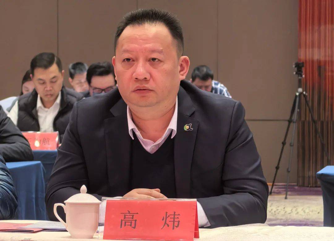 话民生 献侨智 高益槐教授,高炜总裁受邀参加2025年宁德"两会"