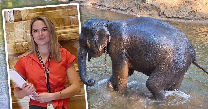 22岁女游客在泰国给大象洗澡时意外身亡，媒体：大象突然惊慌失措