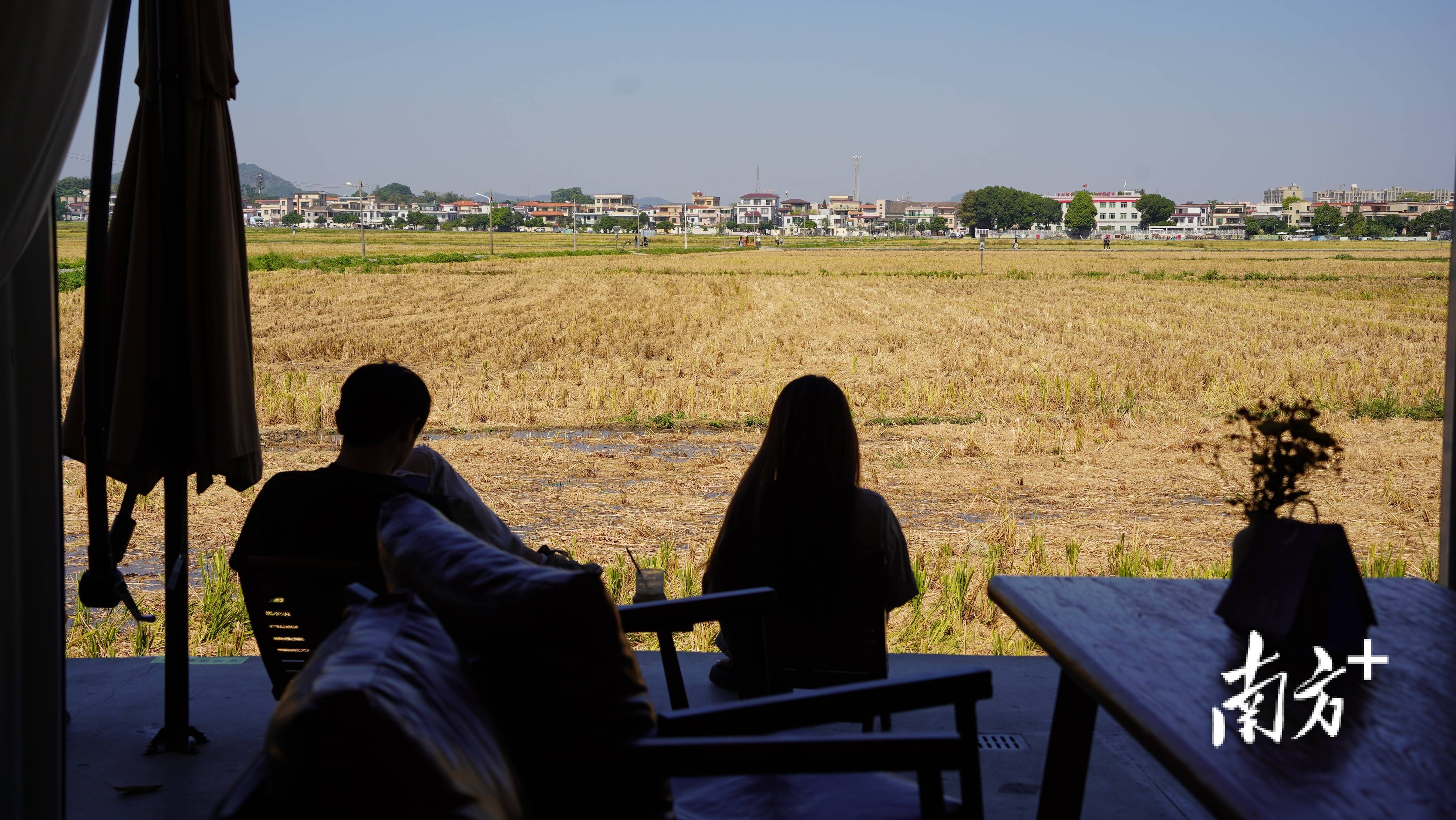 南方深读｜从咖味到咖位，中山何以成隐秘的咖啡之城