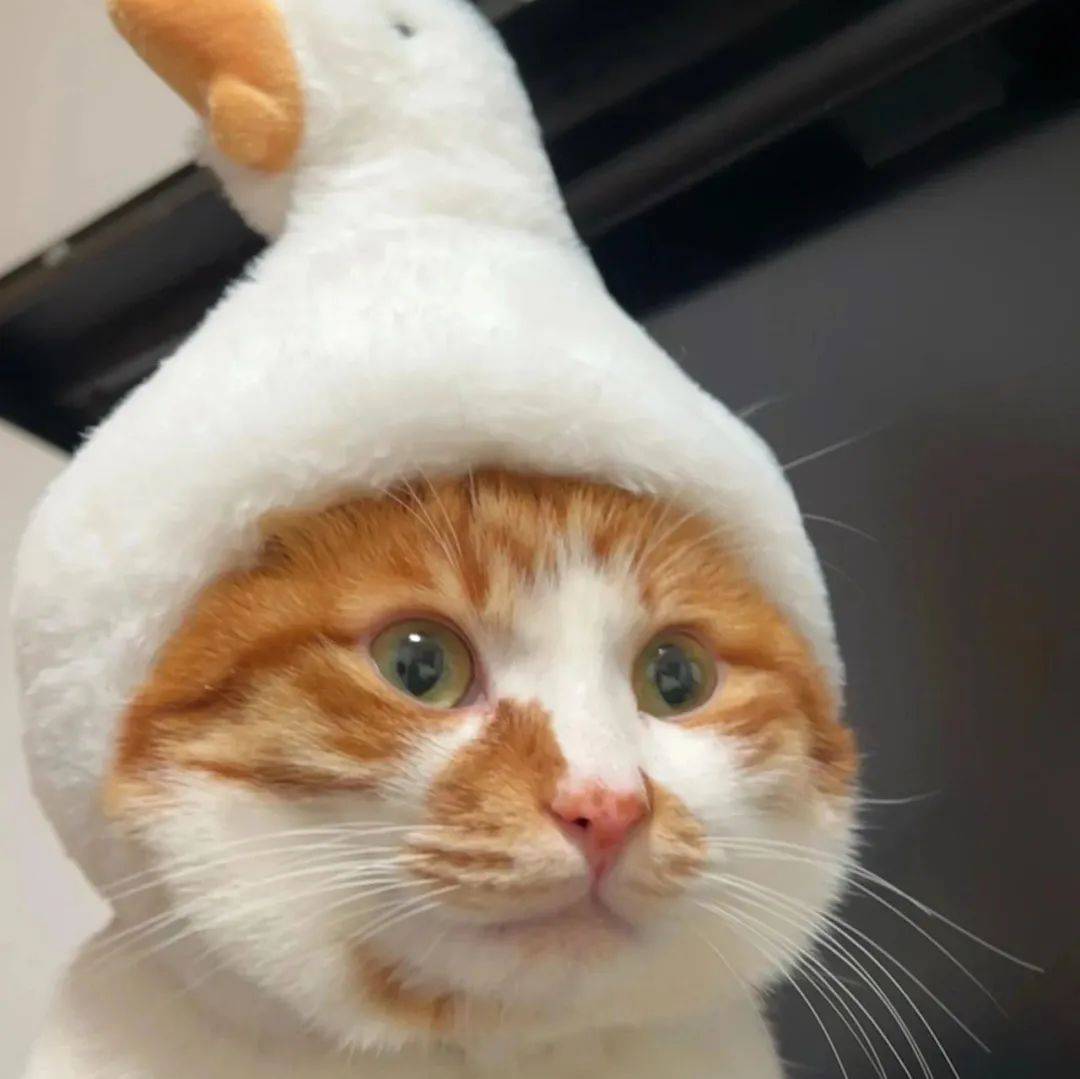 网站搭建学习网