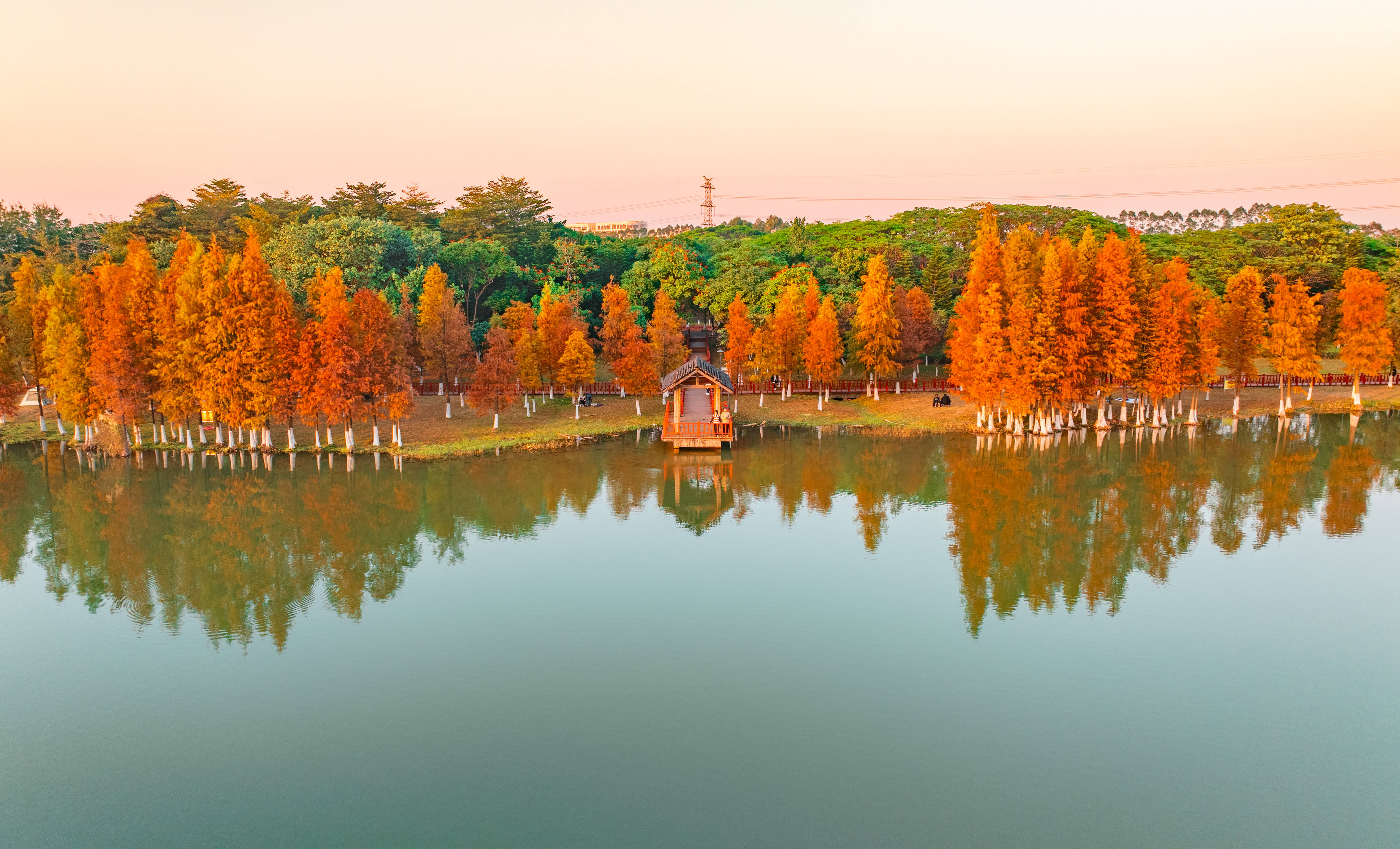 年薪15万—35万！东莞松山湖科学城招新啦→