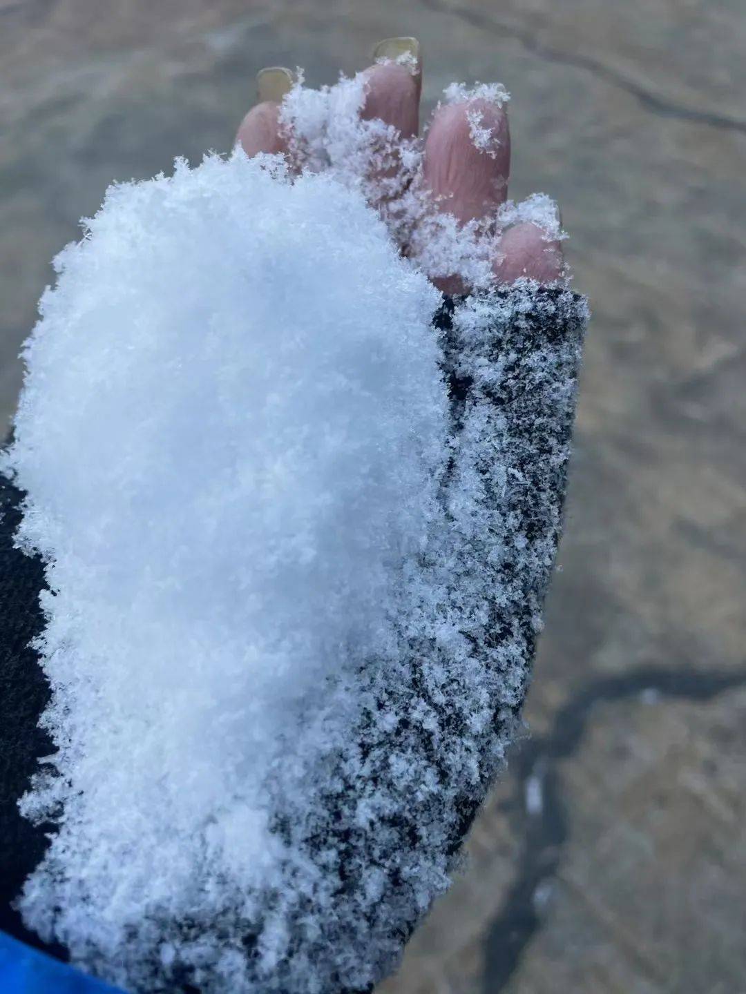5℃今晚龙泉还会下雪吗?