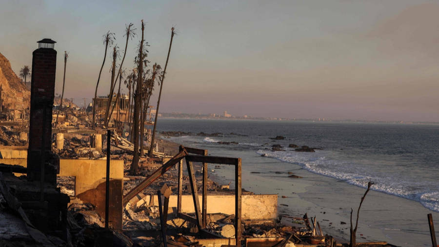 加州山火前几周,保险公司突然大面积取消保单,背后隐藏着什么? 加州山火前几周,保险公司突然大面积取消保单,背后隐藏着什么?