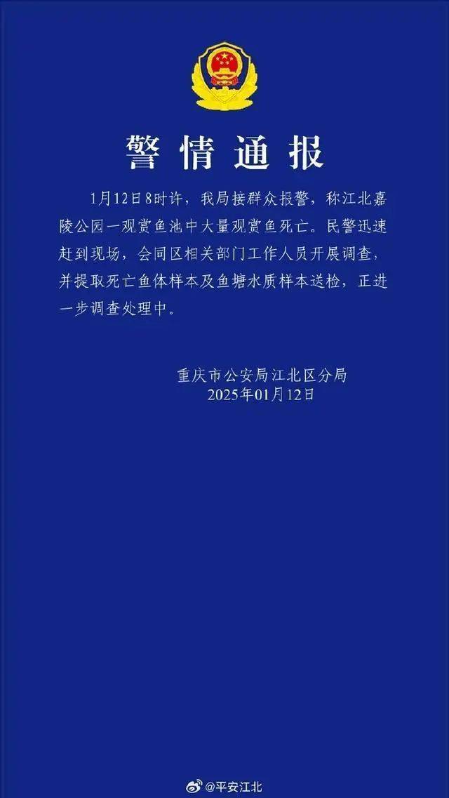 重庆警方通报“公园锦鲤大量死亡”：已提取死亡鱼体样本及鱼塘水质样本送检