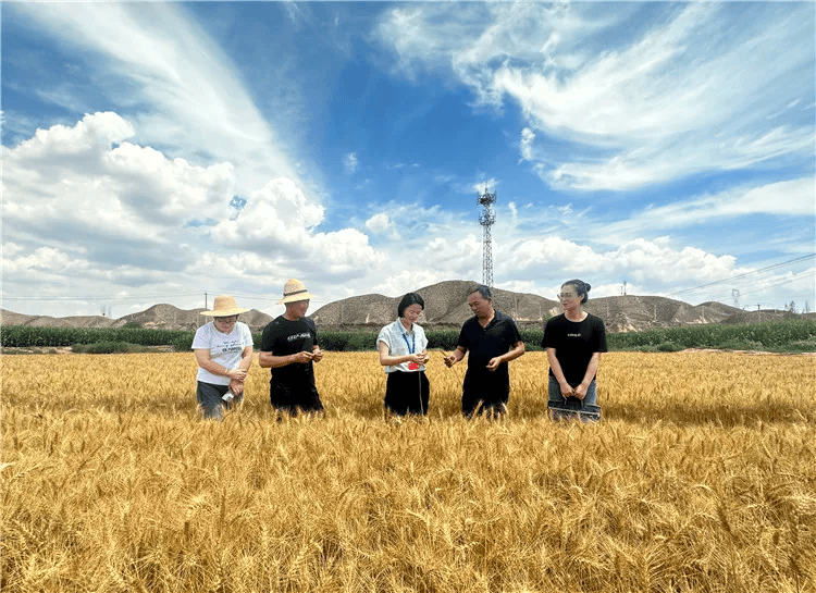 处分1.2万人！甘肃坚决铲除腐败滋生的土壤和条件