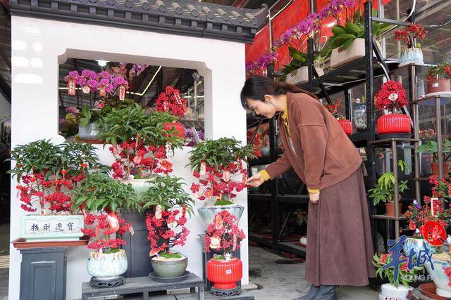 果博app图集｜“水陆空”年味齐放广州荔湾邀你共赏永不落幕花市盛宴(图6)