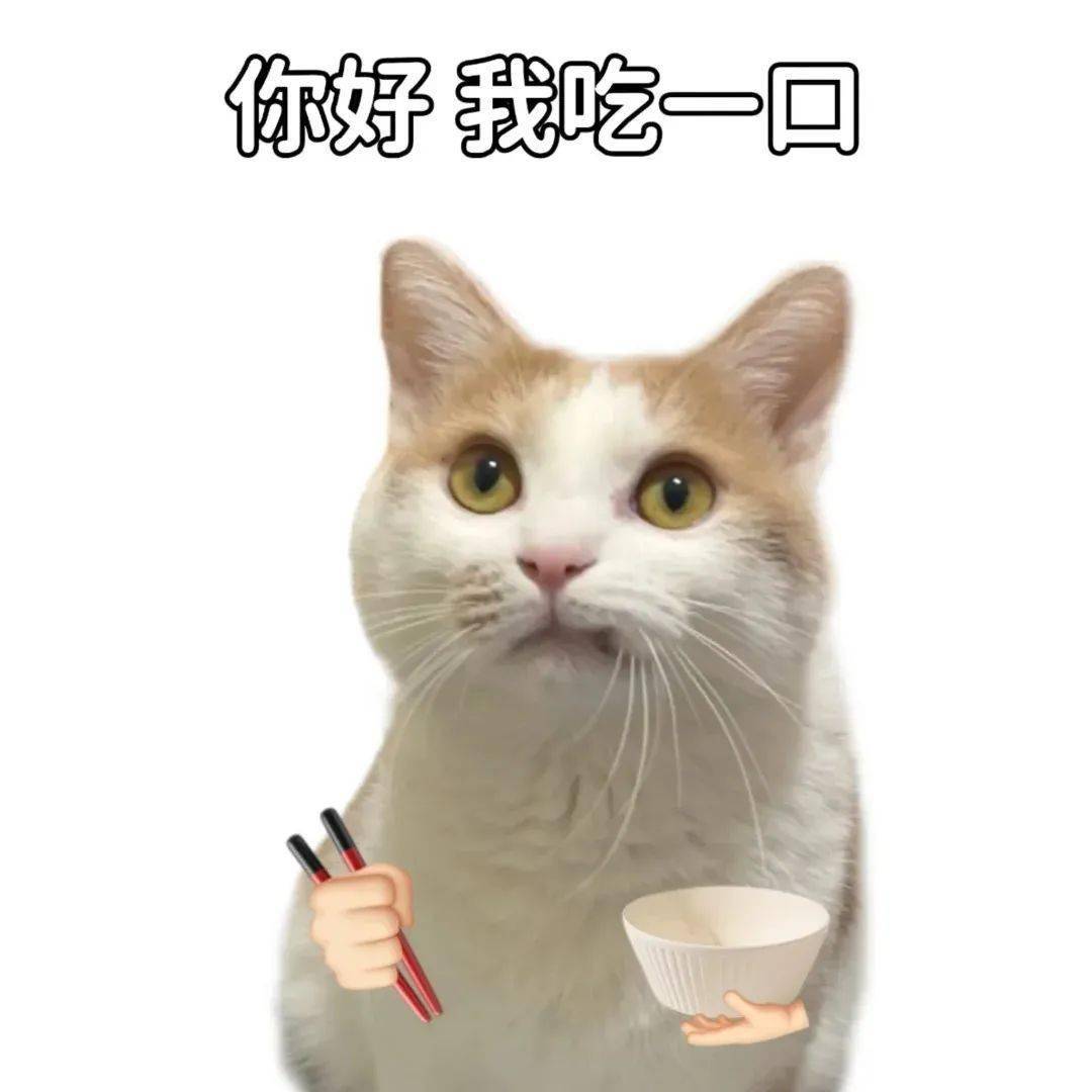"当你和小摊老板混熟后."不要小瞧馋鬼的执念啊!