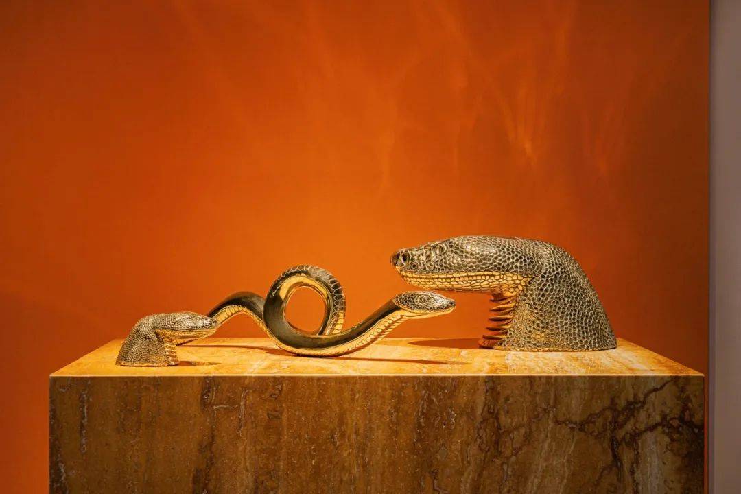 梦境启示,小蛇的温柔凝视,内心深处的微妙变化 梦境启示,小蛇的温柔凝视,内心深处的微妙变化