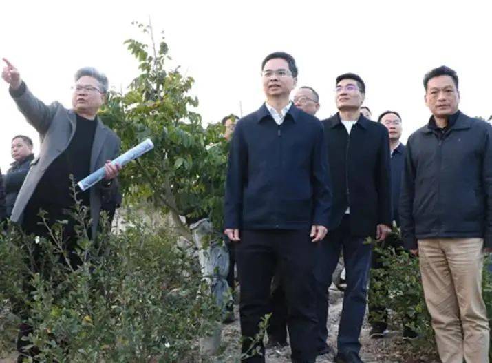 官方调研!争取早日动建福州至闽清市域线