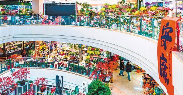 6686体育下载繁花迎春中经视觉市民(图3)
