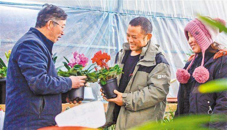 6686体育下载繁花迎春中经视觉市民(图4)