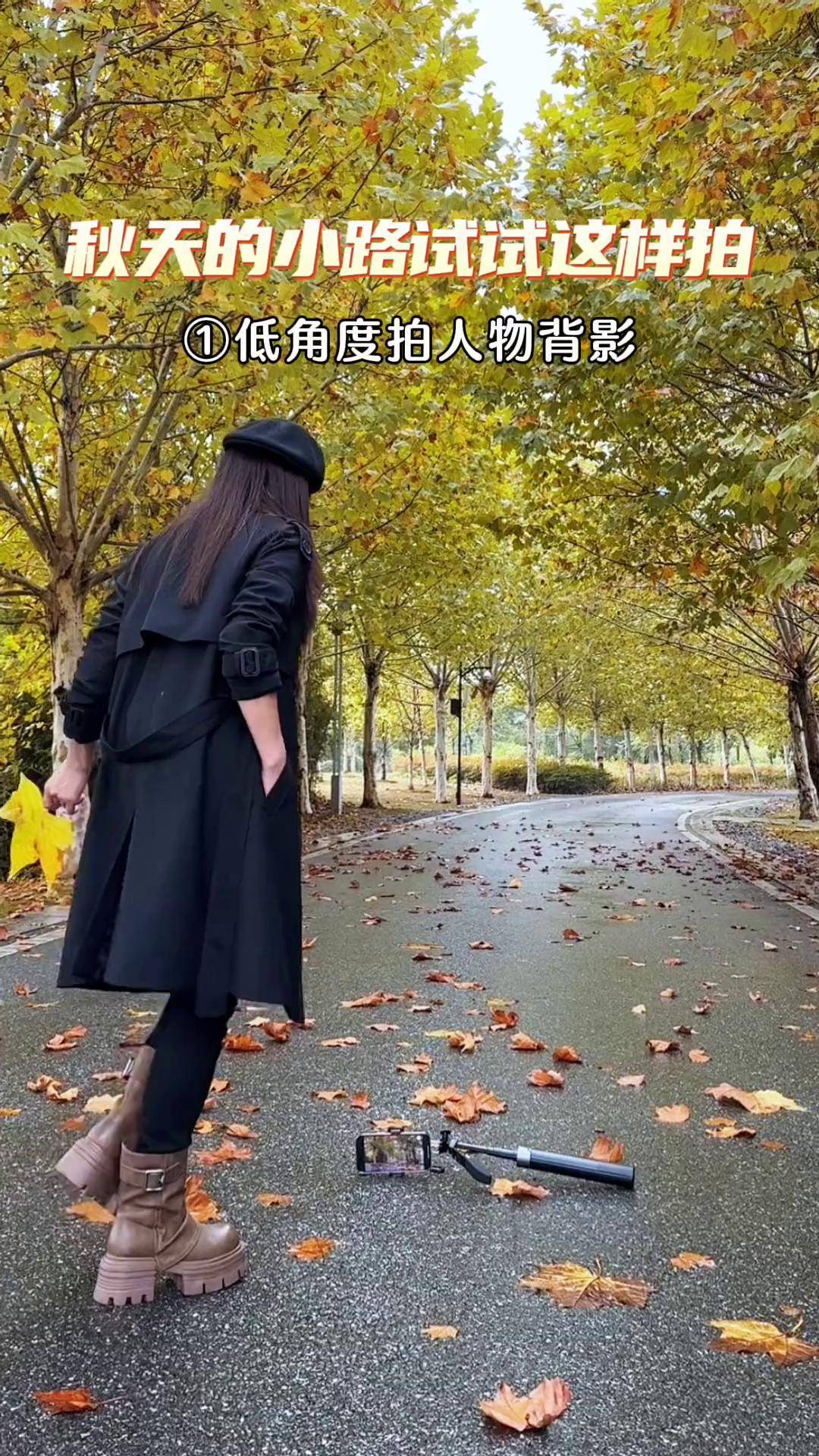 秋天摄影拍摄技巧教程，技巧大全