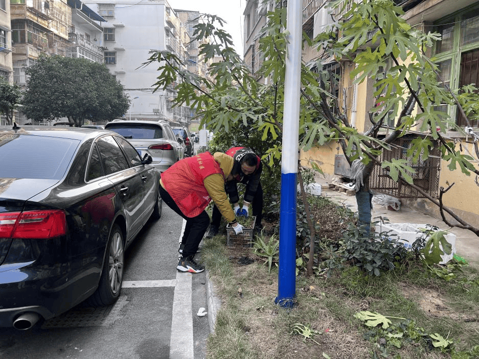 亿百体育app下载清洁家园在行动 最美小区：东城街道楚湘小区(图3)