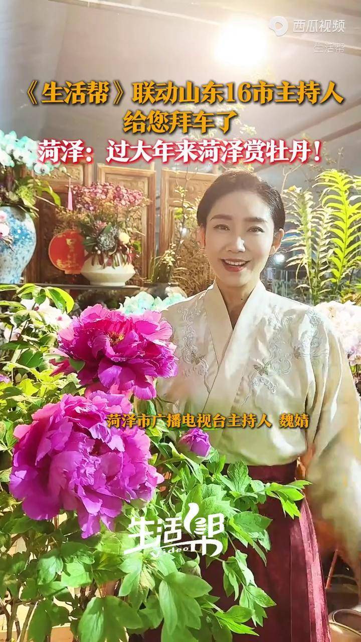 深扒山东菏泽女主持人图片