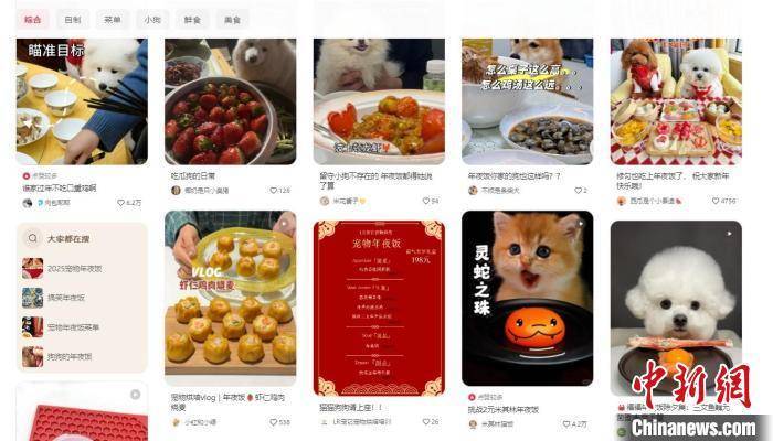 雷火竞技新春走基层）宠物年夜饭热销 专家：“宠物+”跨界融合迎新机(图3)