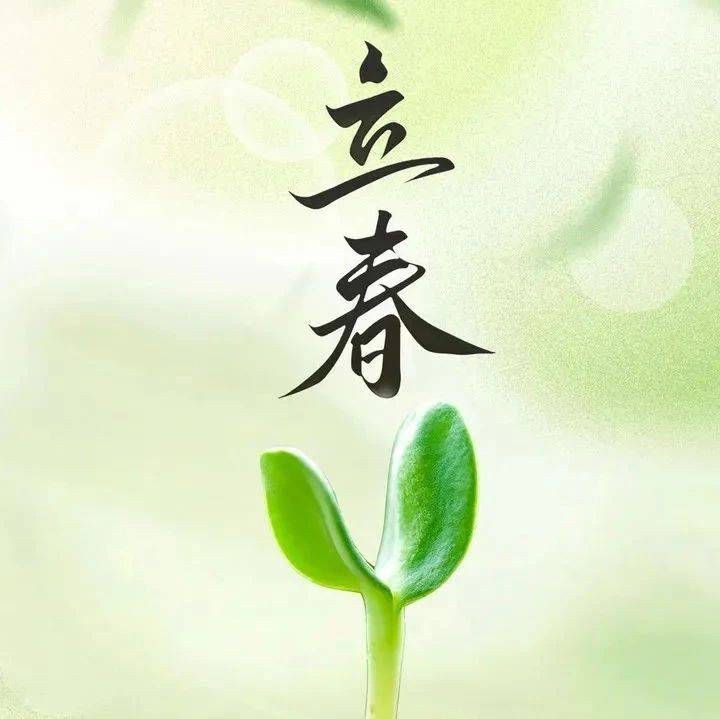 春打五九尾：正月初六立春啦！_春饼_春卷_人们