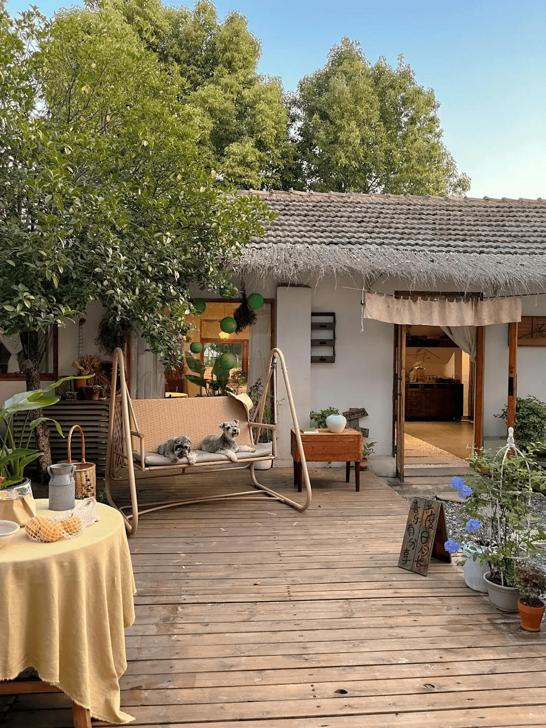 生活在这样的农家小院,太幸福了