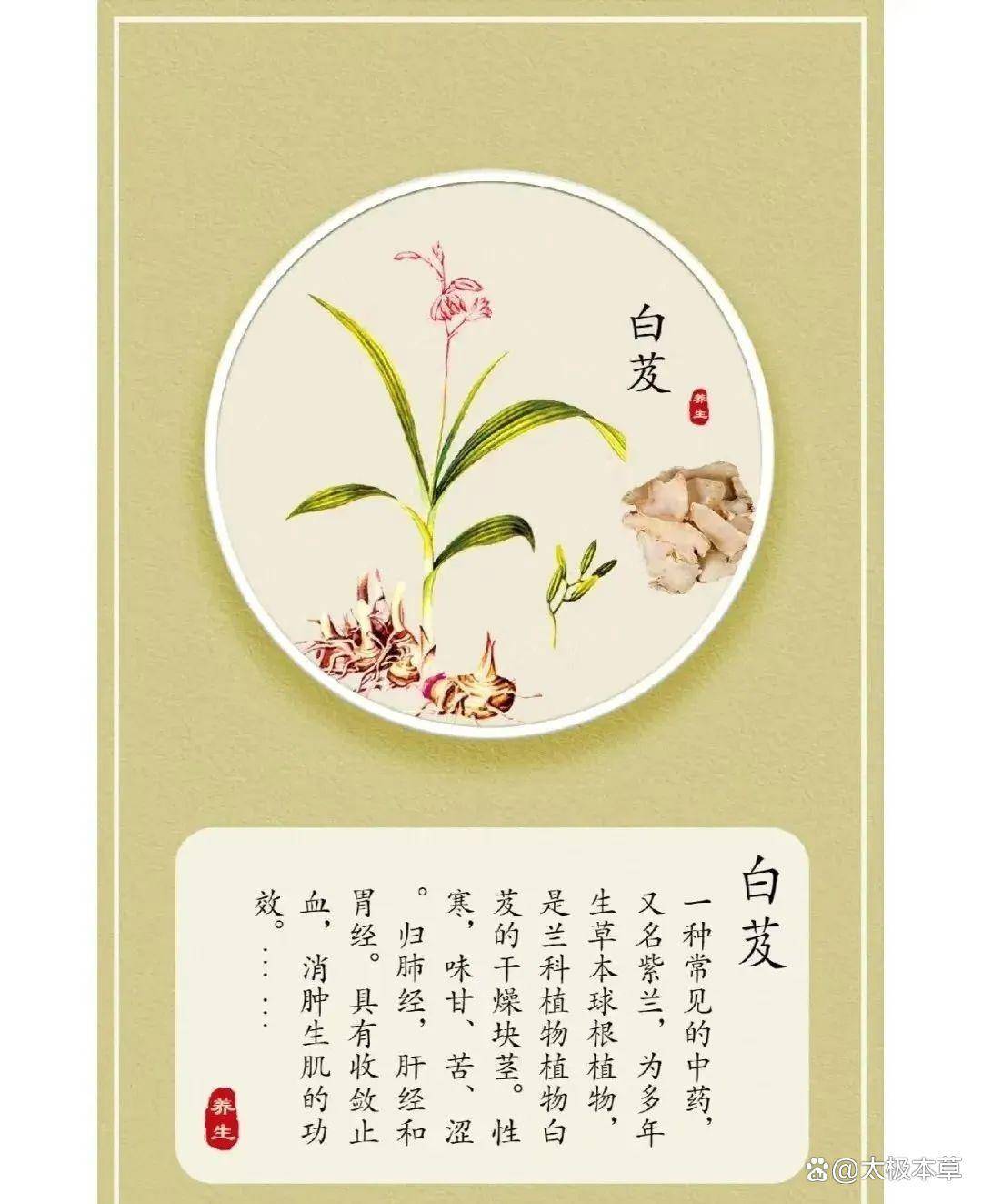 中药白芨可用于美容