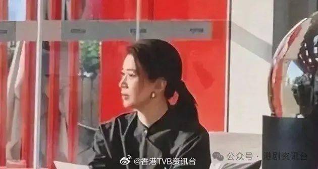 新剧阵容有袁咏仪、江美仪，剧情充满复仇元素