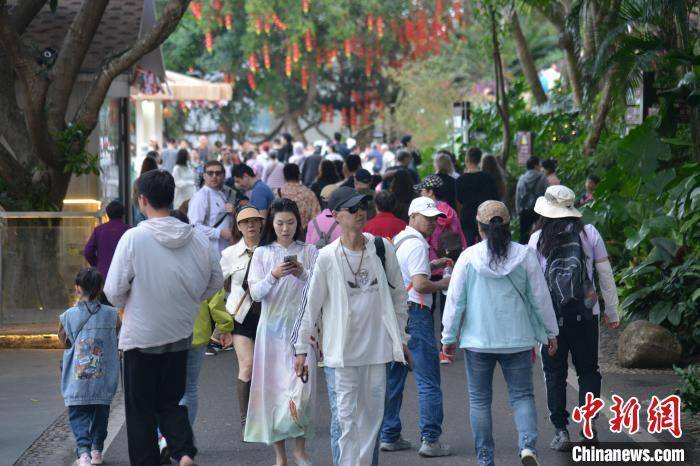 ng28下载新春见闻）春节后三亚错峰游火热(图1)