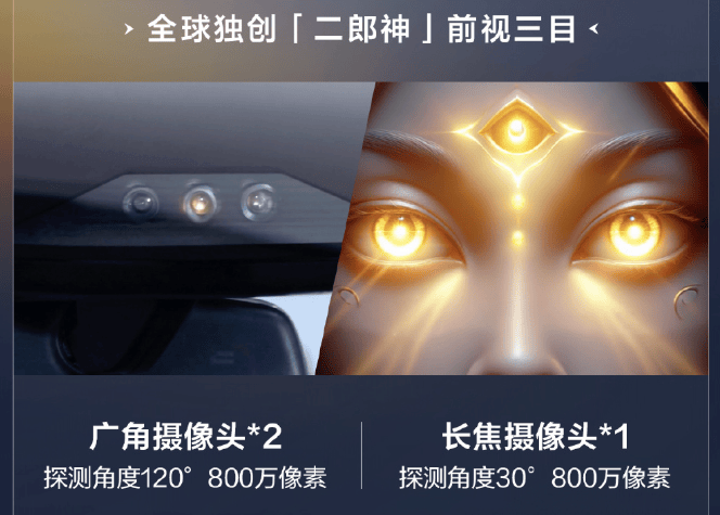 比亚迪全系车型搭载高阶智驾,天神之眼全面上车_搜狐汽车_搜狐网