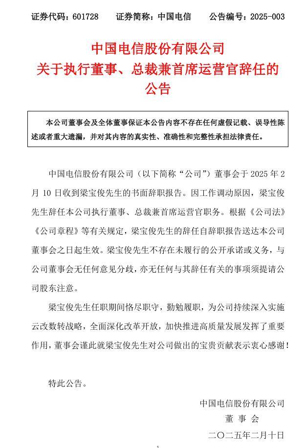 辞任中国电信总裁后，梁宝俊出任中国卫星网络集团有限公司总经理