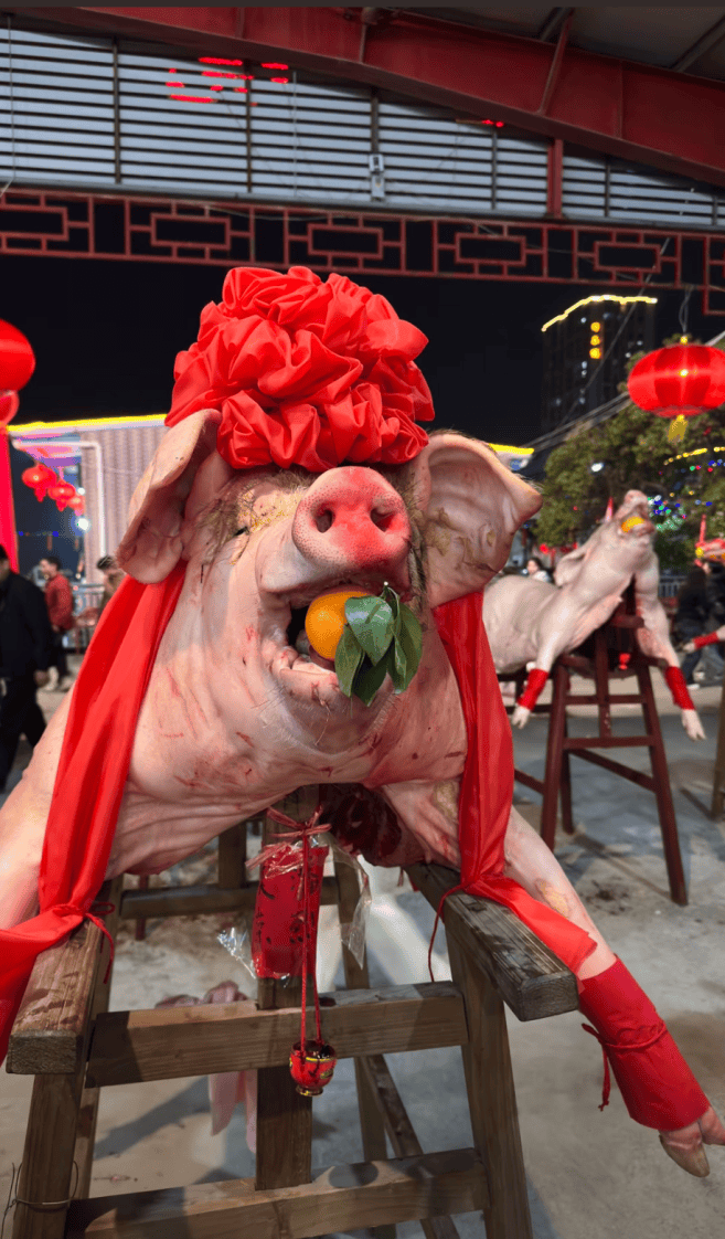 潮汕此地摆猪羊场面震撼又喜庆