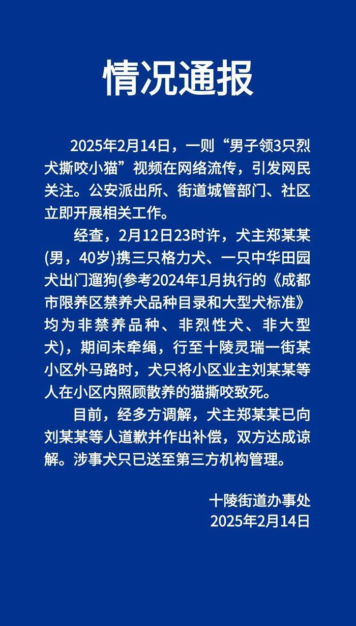 当地通报“成都一男子领3只烈犬撕咬小猫并抛尸”：道歉并作出补偿