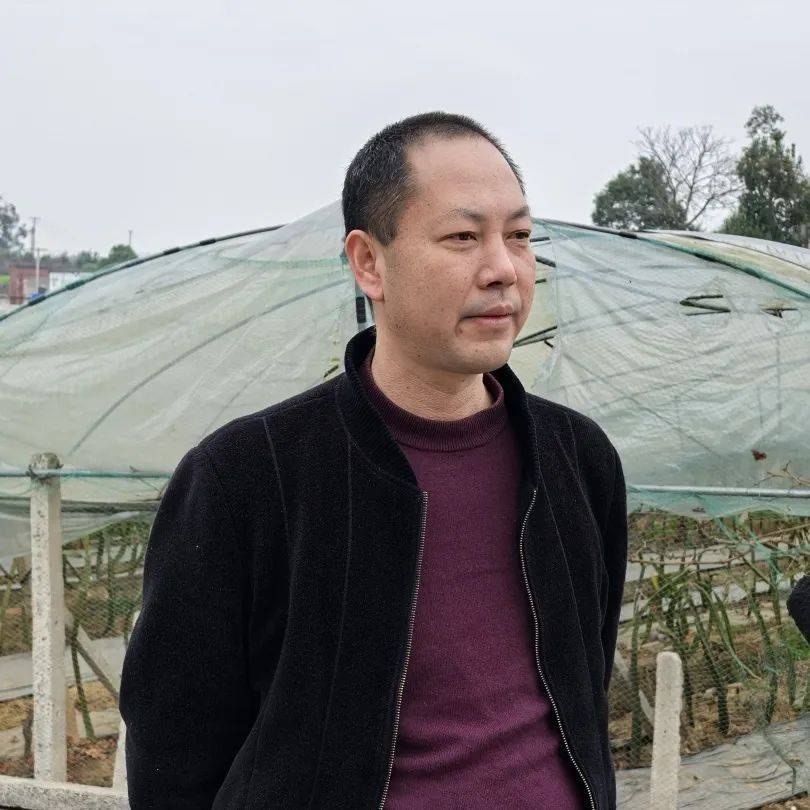 新农人· 新农开云体育入口路 ▏罗兆荣：金泰葡萄园的绿色梦想(图3)