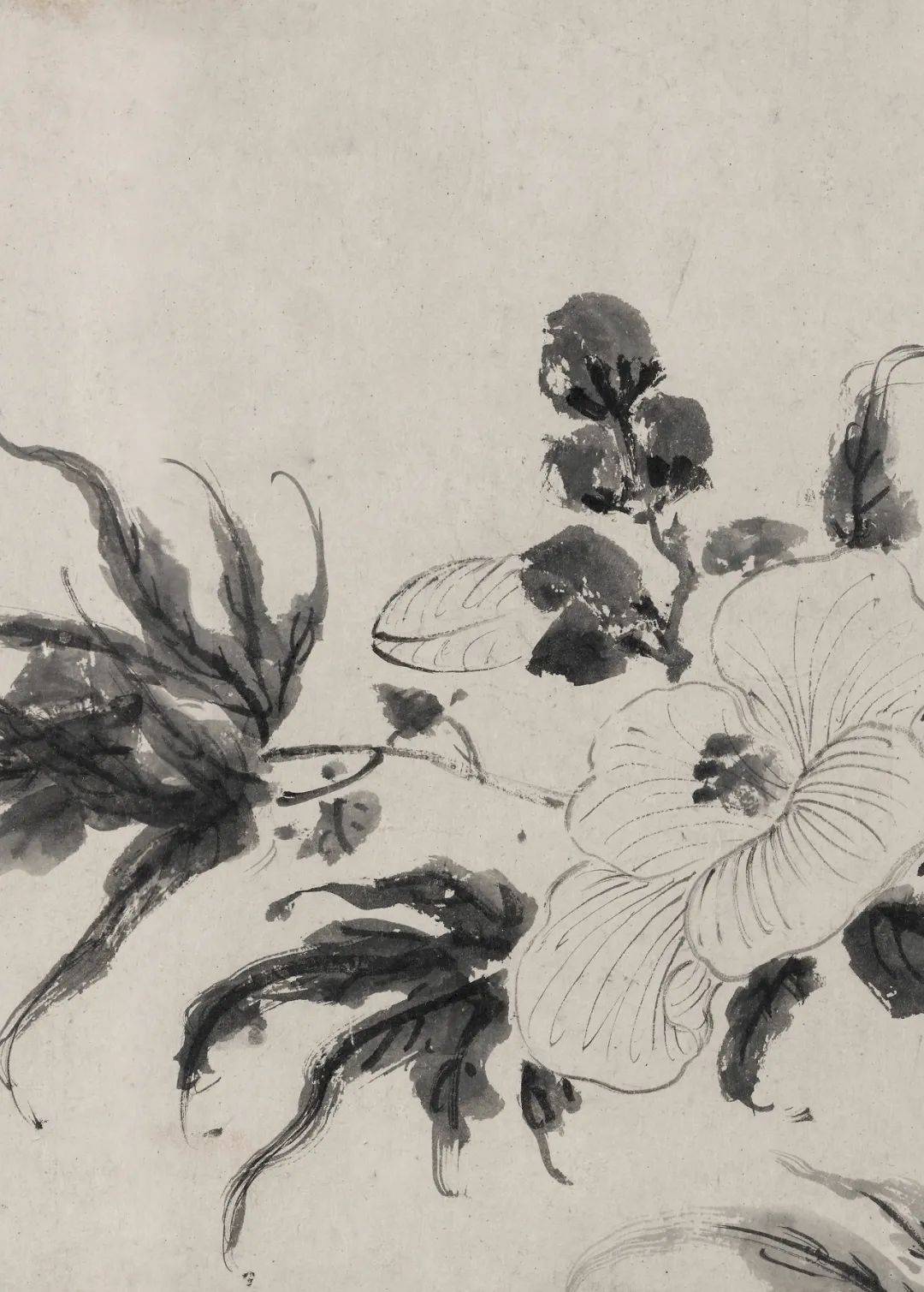 徐渭的墨花这才叫玩水墨