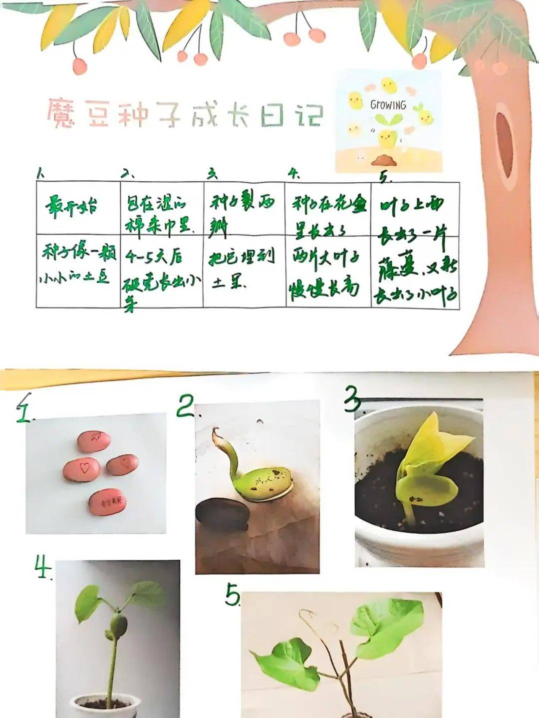 奏响春耕曲 开启"星"航线