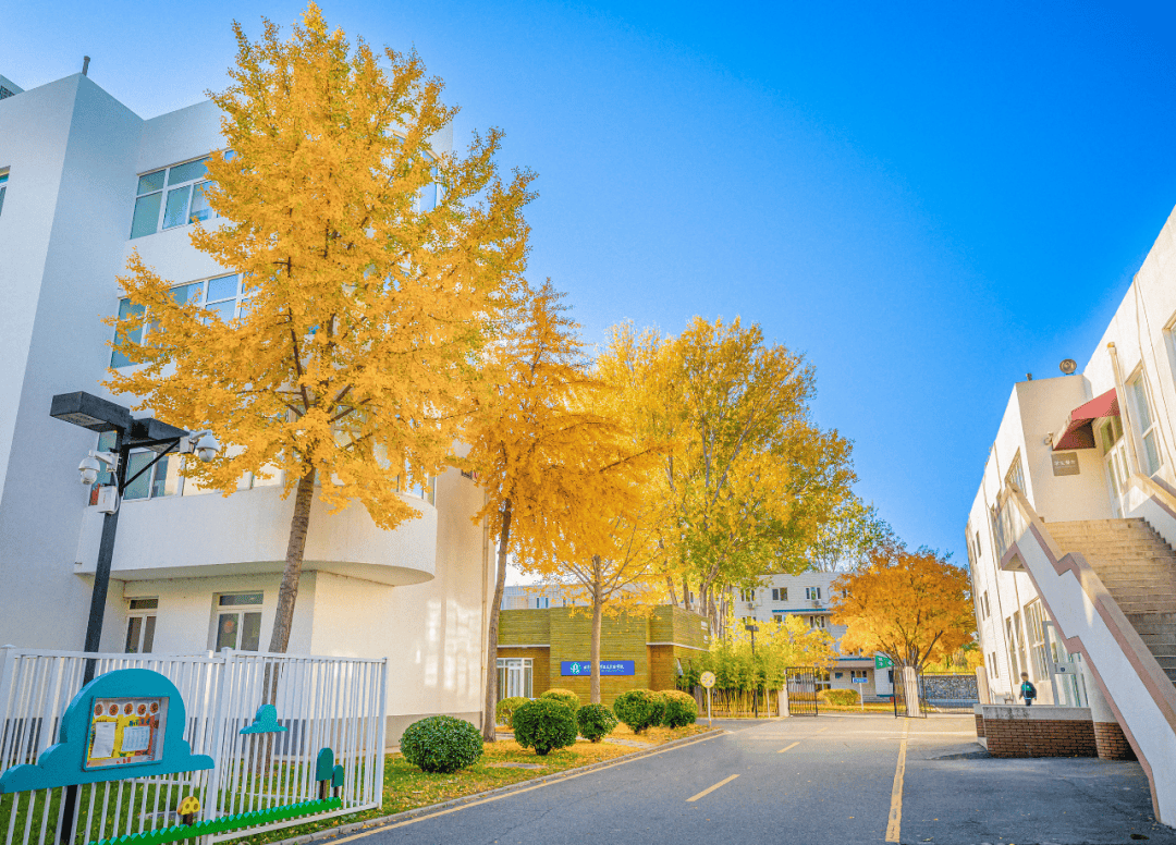 2025年北京师范大学亚太实验学校招聘