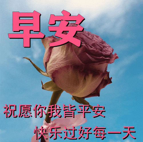 25db1a39f56941ffbed4cc94859e7d6a.webp