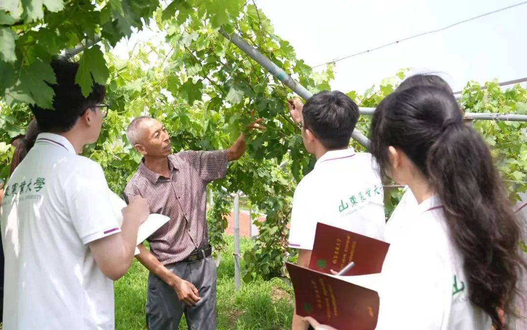 金年会- 金年会体育- 官方网站2025年跟着高校书记、校长划重点