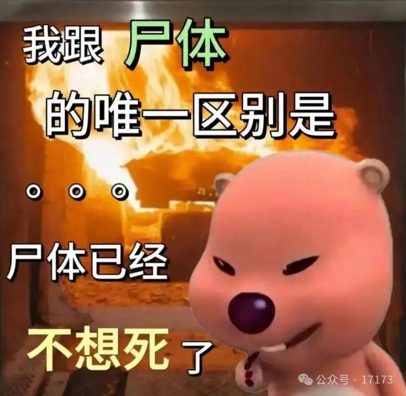 网页访问代理ip也不行