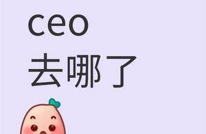 上海明星AI公司澜码科技裁员停薪！CEO被称李开复“关门弟子”