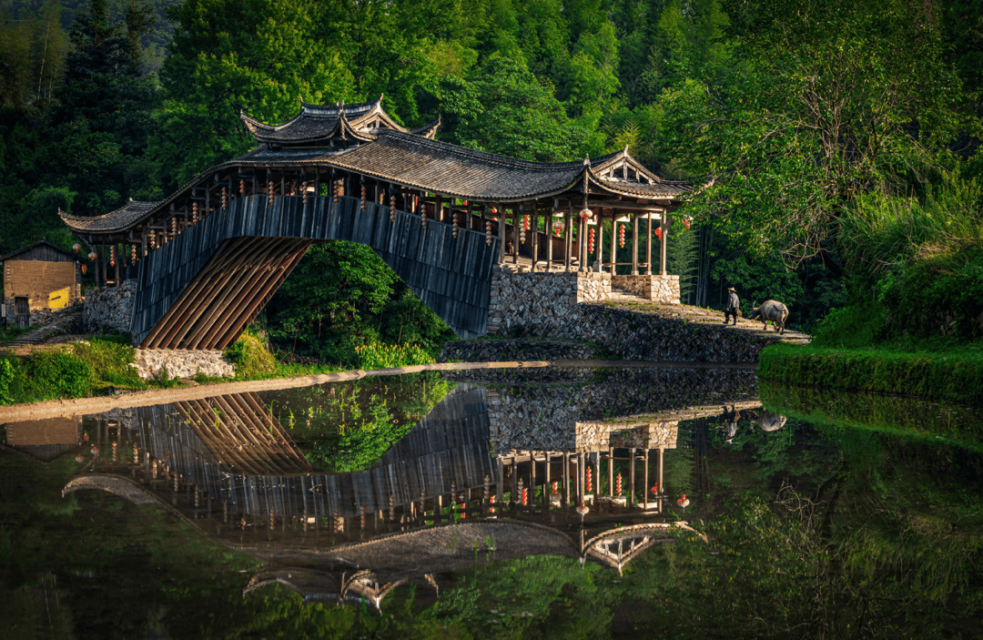 何以泰顺 何以廊桥