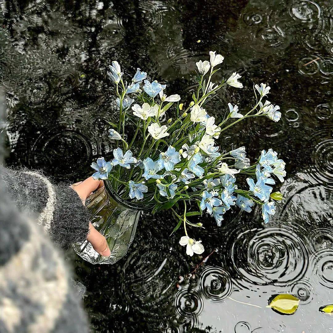 "背景图ins风高级质感"