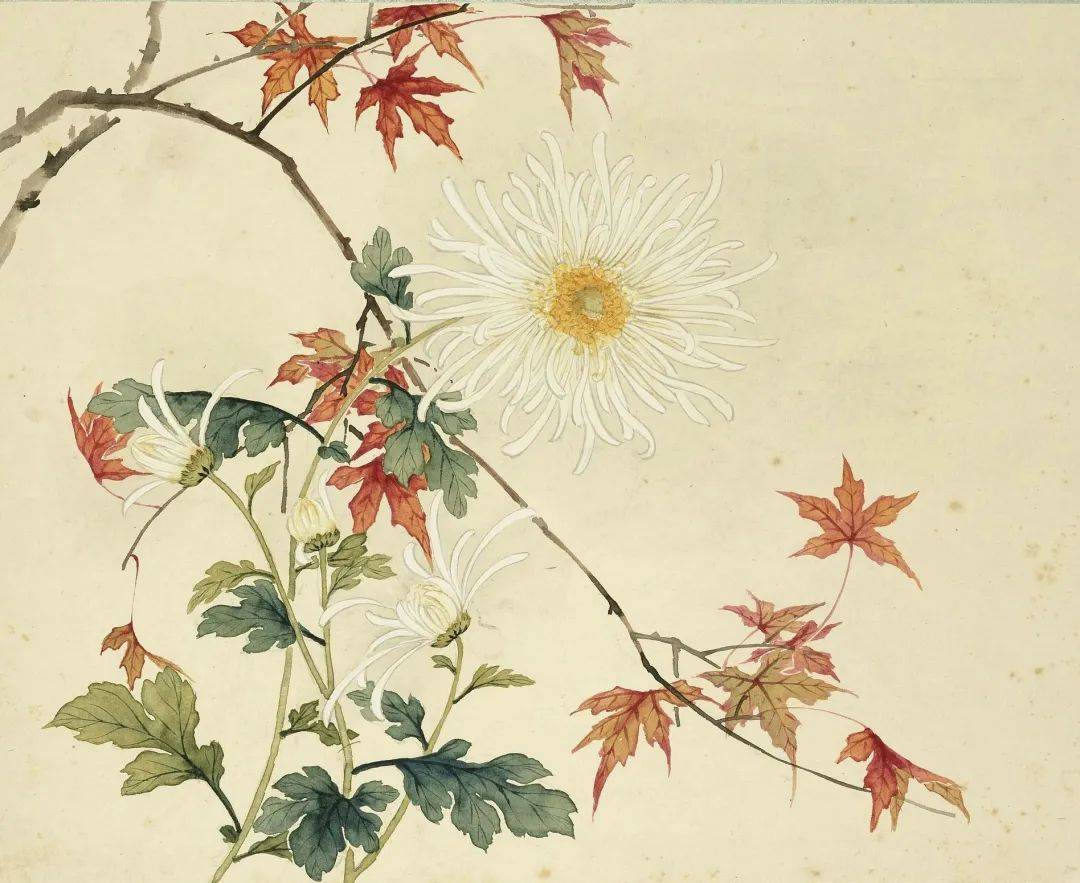 清·沈振麟『十二月花神册』