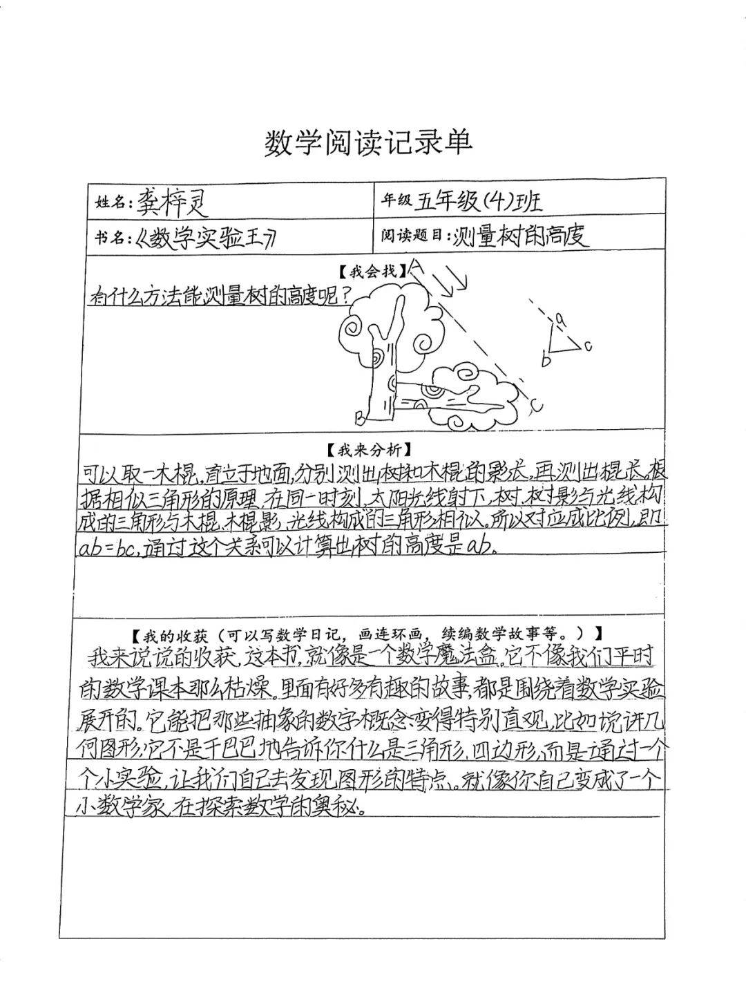 实附双减寒假数学奇遇记二数迷大串烧匠心创数学石狮实中附小四至六