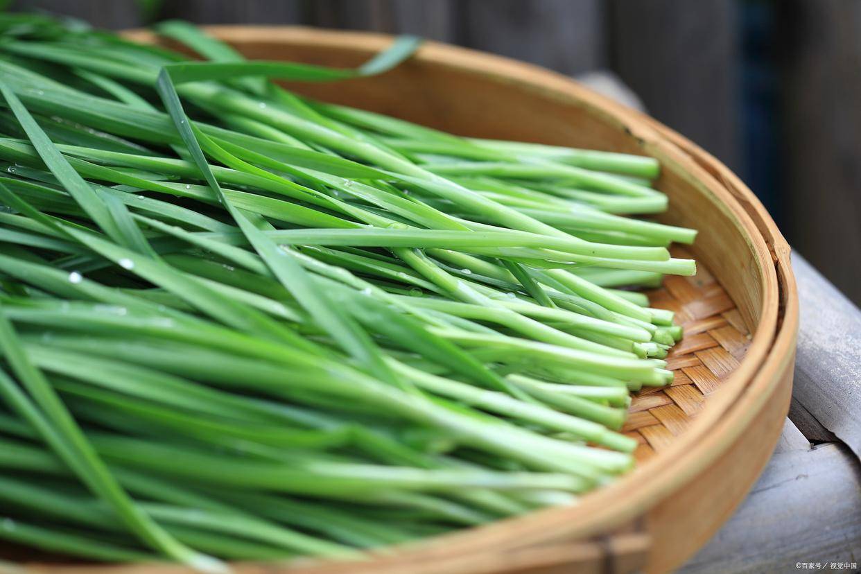 买韭菜,挑选宽叶还是窄叶的?菜农:区别很大,以后别瞎买了_叶片_食用_风味