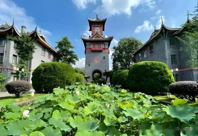 2025牙医录取分数线_2025年四川大学口腔医学录取分数预测_四川大学医学类专业录取位次波动