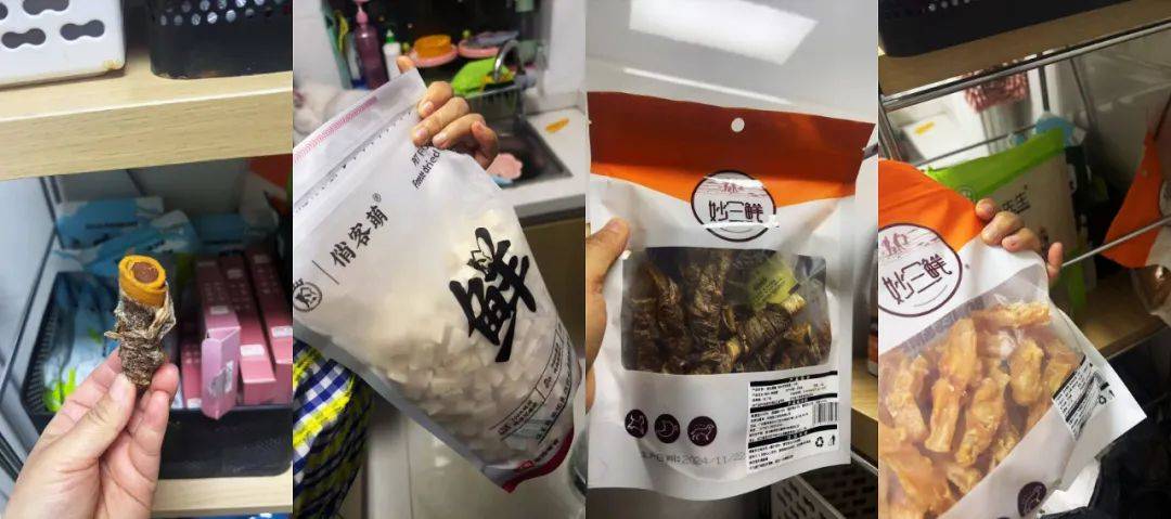 我给自己买平替，但“毛孩子”的花销得升级到天上去